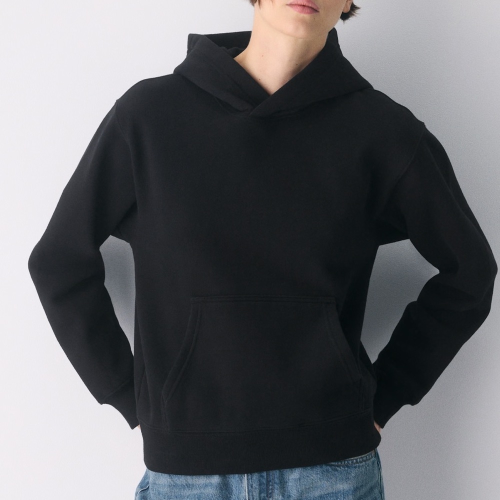 Aritzia Hoodie